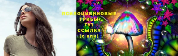 твердый Нягань